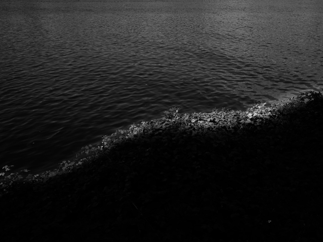 Water-inspired natural photograph