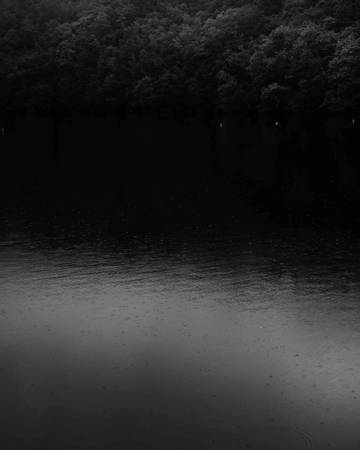 Natural detail with raindrops and light